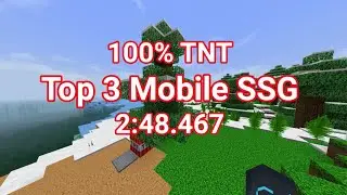 Minecraft Mobile SSG 2:48.467 Top 3 (tc)