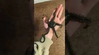 Вот почему стоит чистить фильтр… 😳 