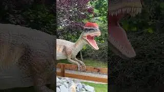 Прогулянки з динозаврами #travel #dinosaur #dinolandia #poland #dinosaurs
