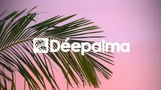 Dilby - Barricade [Déepalma Records]