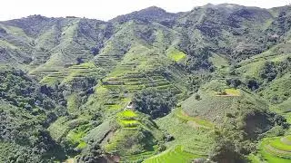zos toj siab nyob kaj siab siab 10/8/24