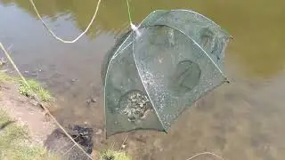 В предвкушении летней рыбалки