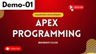 Salesforce Development Demo 01 |  Ap﻿ex Programming | Beginner's Guide