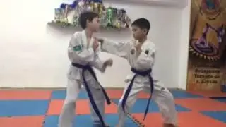 VID 20141215 WA0002