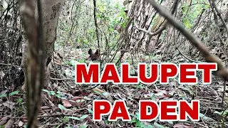 GALING PA DEN KUMAKAK NI GANDA KAHIT TAG ULAN NA!!