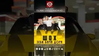Шох - Зеби барм дора
