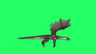 daz 3d dragon animation green screen effect