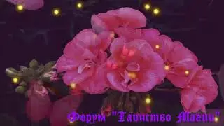 Легенды и Мифы о Герани
