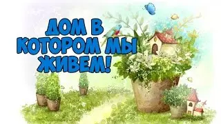 Обзор квартиры. У нас все есть в Новой Зеландии.