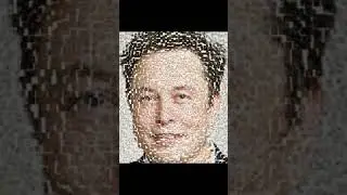 Elon Musk Photomosaic