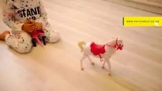 Дом Сервус