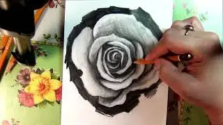 простые карандашные цветы розы