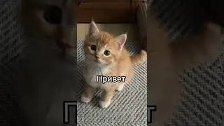 Неизвестная Дата.