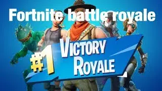 Winning Fortnite battle royale