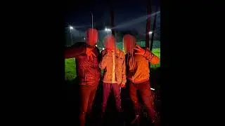 SEPTIMA - WILKI