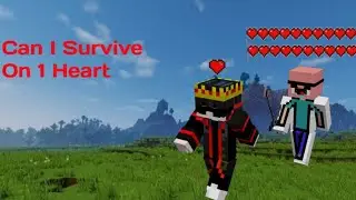 Can I Survive On 1 Heart In This Public Lifesteal Server 