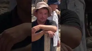 Искра шанбе бозори