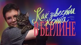 КАК ЗАВЕСТИ КОТА В БЕРЛИНЕ (и немного про собак)