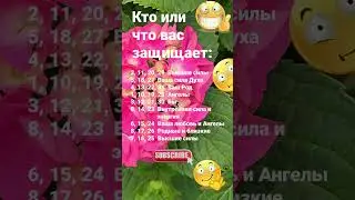 Знаки Зодиака. Когда родились... Кто или что вас защищает...   Высшие силы... / 2271