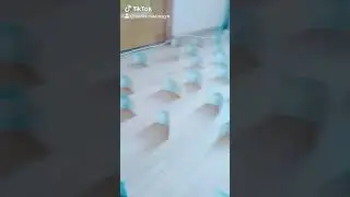 Адель Челлендж