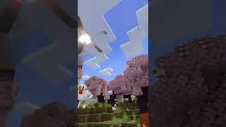 17 de junio de 2024