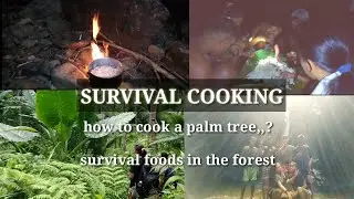 Cooking a palm tree -(bushcraft survival cooking)
