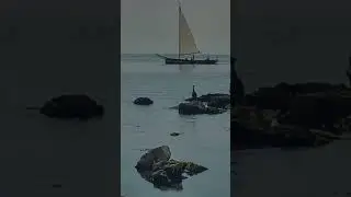 What is Sailing Vessel II Sailor 360