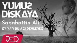 Yunus Dişkaya - Ey Yar bu Acı Demlerde  [Official Audio]