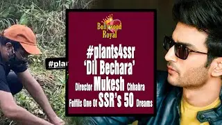 #plants4ssr