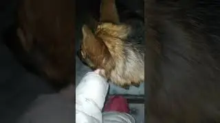 ночная прогулка #рекомендации