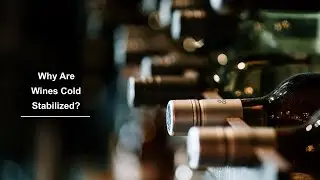 Why are Cold Wines Stabilized?