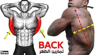 Tone Your BACK FAST  with These Simple Exercises!