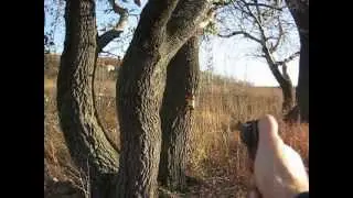 Стрельба из Нагана Гром 1930г. патронами Флобера.