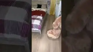 Пердечный приступ😂😂