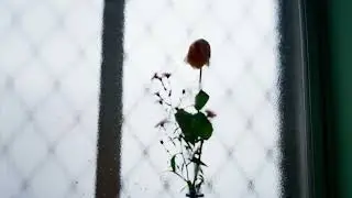 Joji - Die For You (Lil Q Remix)