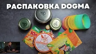 Распаковка Dogma Апельсиновый юпи