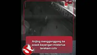 #penampakan