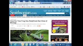 Opening  Link in a New Tab vs a Window