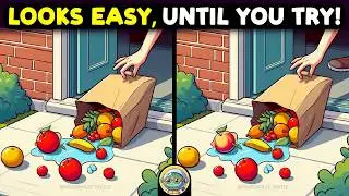 🐢🧩 Find The Difference | Puzzle Masters Only 🧩🐢 | Quizonaut Turtle
