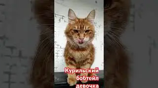 Курильская девочка Гламур Золото Мирославы