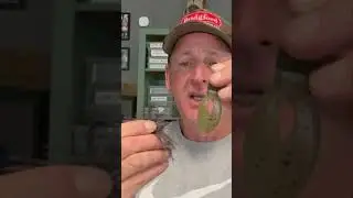 Do THIS To Your Jig 