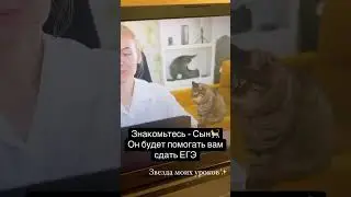 Сдавай ЕГЭ вместе с нами🐈🥰Пиши в ЛС и записывайся на самые крутые занятия😎#егэ2025 #информатика
