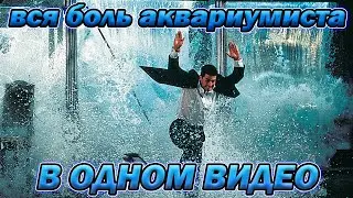 ВСЯ БОЛЬ АКВАРИУМИСТОВ В ОДНОМ ВИДЕО