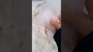 если залетит  то я съем торт на камеру