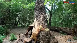 Пешая прогулка по малой и большой косах «Зеленого острова»