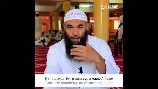 С чего начинать воспитание детей? 