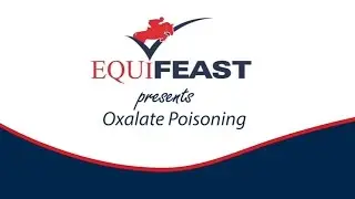 Big Head in horses - an answer to oxalate poisoning