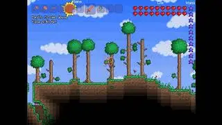Terraria Ob (Eeb) Speedrun% TASless (Supports WR Handsets)