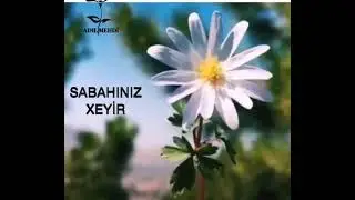 SABAHINIZ XEYİR