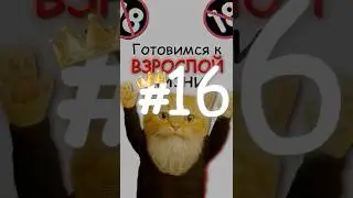 👉🏻 МК: Гайд на ОТЁКИ?! 🙀